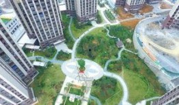 航拍世家爆料视频大全下载,视频大全下载背后的精彩故事