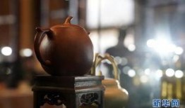 紫砂爆料 新闻视频大全,新闻视频大全精彩集锦