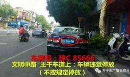 万宁座驾真实爆料视频最新