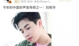 刘宪华爆料对象是谁呀视频,视频主角身份成谜