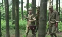 老杨最新爆料视频大全在线观看,视频大全在线观看，精彩内容抢先看