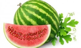 威海吃瓜网红是谁啊图片,吃瓜达人背后的故事”