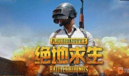 绝地求生商城爆料视频大全,揭秘热门皮肤与武器
