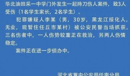 河北省高校爆料案件最新,真相揭秘，校园安全再引关注”