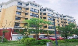 盐城爆料大丰小区事件最新,揭秘居民抗议背后的真相与争议