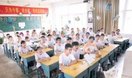 鹤壁高中爆料案件最新,揭秘校园疑云背后的真相