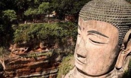 大佛最新爆料新闻,揭秘娱乐圈惊人内幕