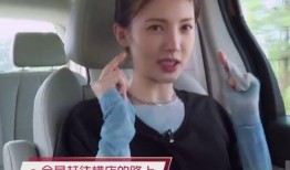 金晨综艺爆料视频大全,揭秘明星幕后故事