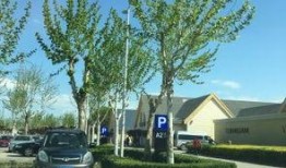 赛特奥莱爆料视频,揭秘幕后精彩瞬间