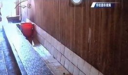 昆明卫生间爆料事件最新,真相与争议交织的公共安全风波