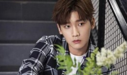 李宏毅恋情爆料最新视频,最新视频揭秘甜蜜瞬间