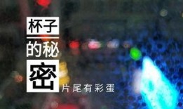 观光爆料中视频在哪看,视频观看攻略一网打尽