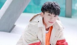 明星爆料周翊然视频播放,揭秘明星幕后生活点滴