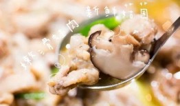 爆料牛蛙视频大全最新版,最新版爆料，趣味横生瞬间回顾