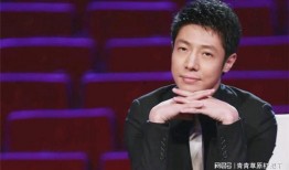 撒贝宁爆料胶囊视频,一场意想不到的爆料之旅