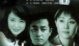 电视剧人证在线观看,真相与情感的交织之旅