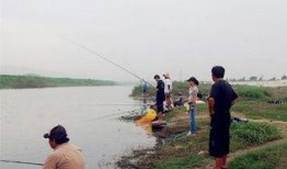 爆料鲢鳙钓法视频讲解,视频详解钓技精髓