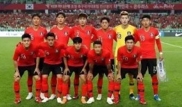 爆料韩国世界杯视频回放,视频回放带你重温激情岁月