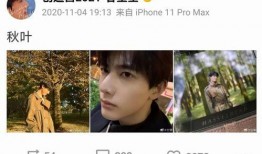 甘望星最新爆料