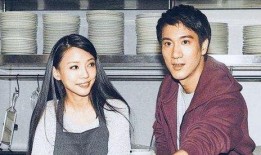 前妻爆料王力宏新婚视频,前妻爆料背后的惊人真相