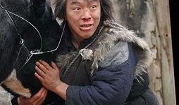 黄渤电影斗牛在线观看