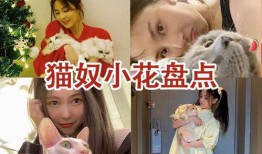 娱乐圈猫奴爆料,揭秘明星与爱宠的甜蜜日常