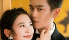 爆料娱乐圈夫妇离婚,揭秘明星婚姻背后的真相