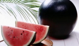 吃瓜新闻网红黑料,真相与争议并存