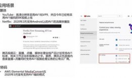 视频爆料规则有哪些类型,五大类型深度解析