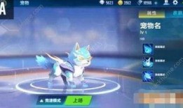 qq飞车最新爆料 宠物,萌宠助力，速度与激情的完美融合