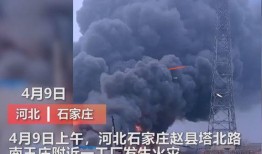 鞍山媒体爆料事件视频,视频揭露惊人真相