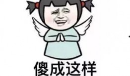 文字爆料段子搞笑视频大全,搞笑视频大全，笑出腹肌的欢乐时光