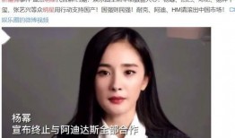 新疆明星爆料新闻视频,新疆明星爆料视频引发热议