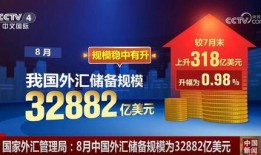 央视爆料外汇黑平台视频,揭秘非法交易内幕