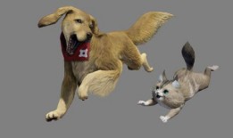 兽境猎犬爆料视频完整版,完整版爆料视频深度解析