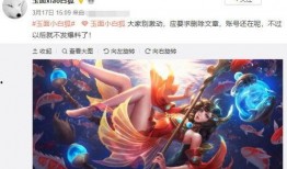 王者知名博主爆料视频大全,揭秘游戏幕后故事与精彩瞬间