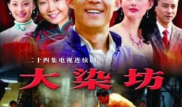 大染坊第二部在线观看,揭秘民国染厂风云录