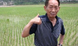 国外爆料袁隆平视频,揭秘杂交水稻传奇背后的故事