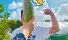 吃瓜国产网红,揭秘国产网红的吃瓜日常