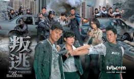 叛逃 在线观看,揭秘神秘特工的惊心动魄之旅