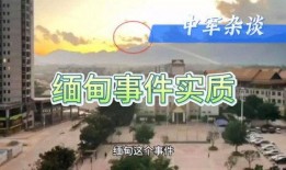 最新局势爆料新闻事件,最新战况与全球影响深度解析