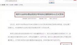 二宁最新爆料消息今天新闻,揭秘娱乐圈惊人内幕