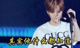 颖宝防线爆料视频大全,视频大全深度解析