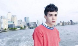 刘宪华爆料对象是谁呀视频,视频主角身份成谜