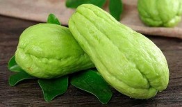 5cp8免费吃瓜,揭秘娱乐圈幕后风云