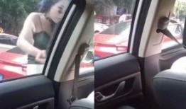 重庆女司机最新爆料,揭秘城市交通背后的惊险故事