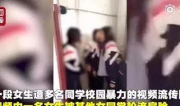 观光爆料中视频在哪看,视频观看攻略一网打尽