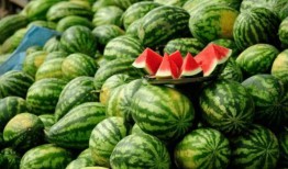 什么网站可以看网红吃瓜,追踪热门事件，畅享娱乐盛宴