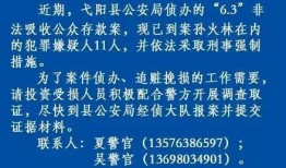 新闻爆料强拆案件最新进展,官方回应调查结果及后续处理措施